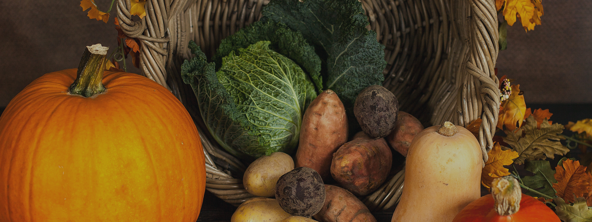 Harvest Service*10:30am Sunday 21st September*LEARN MORE