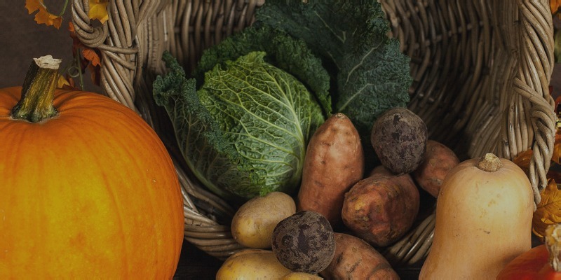 Harvest Service